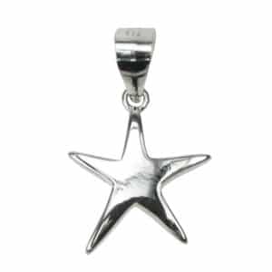 Starfish Pendant